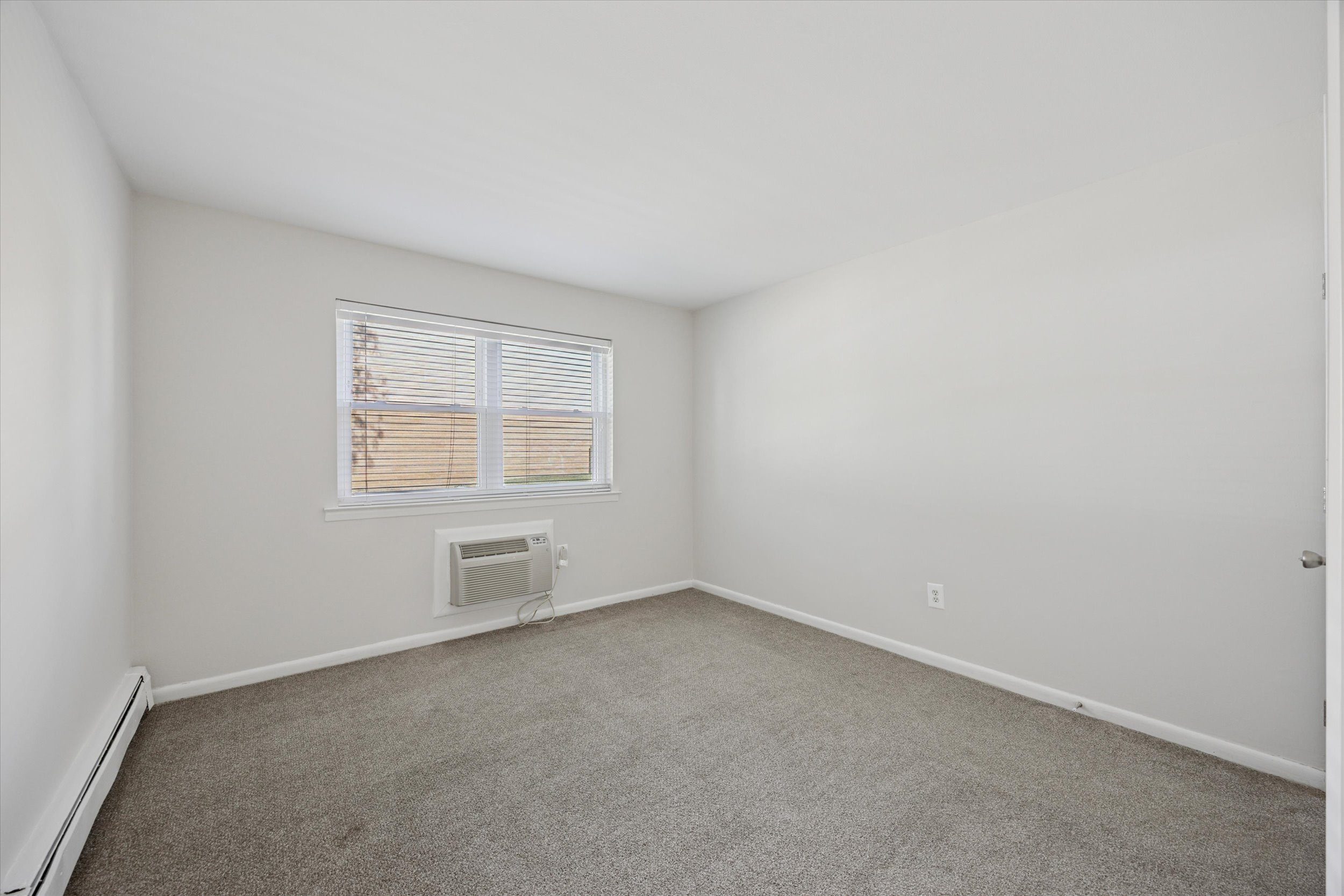 Gallery Photo 51